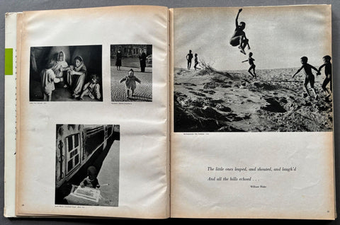 The Family Of Man - Setanta Books