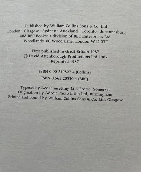 The First Eden - Setanta Books