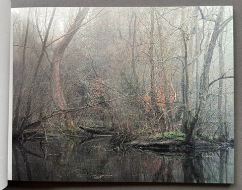 The Floods (The Collectors Edition) - Setanta Books