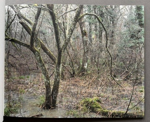 The Floods (The Collectors Edition) - Setanta Books