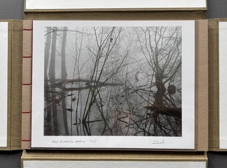 The Floods (The Collectors Edition) - Setanta Books