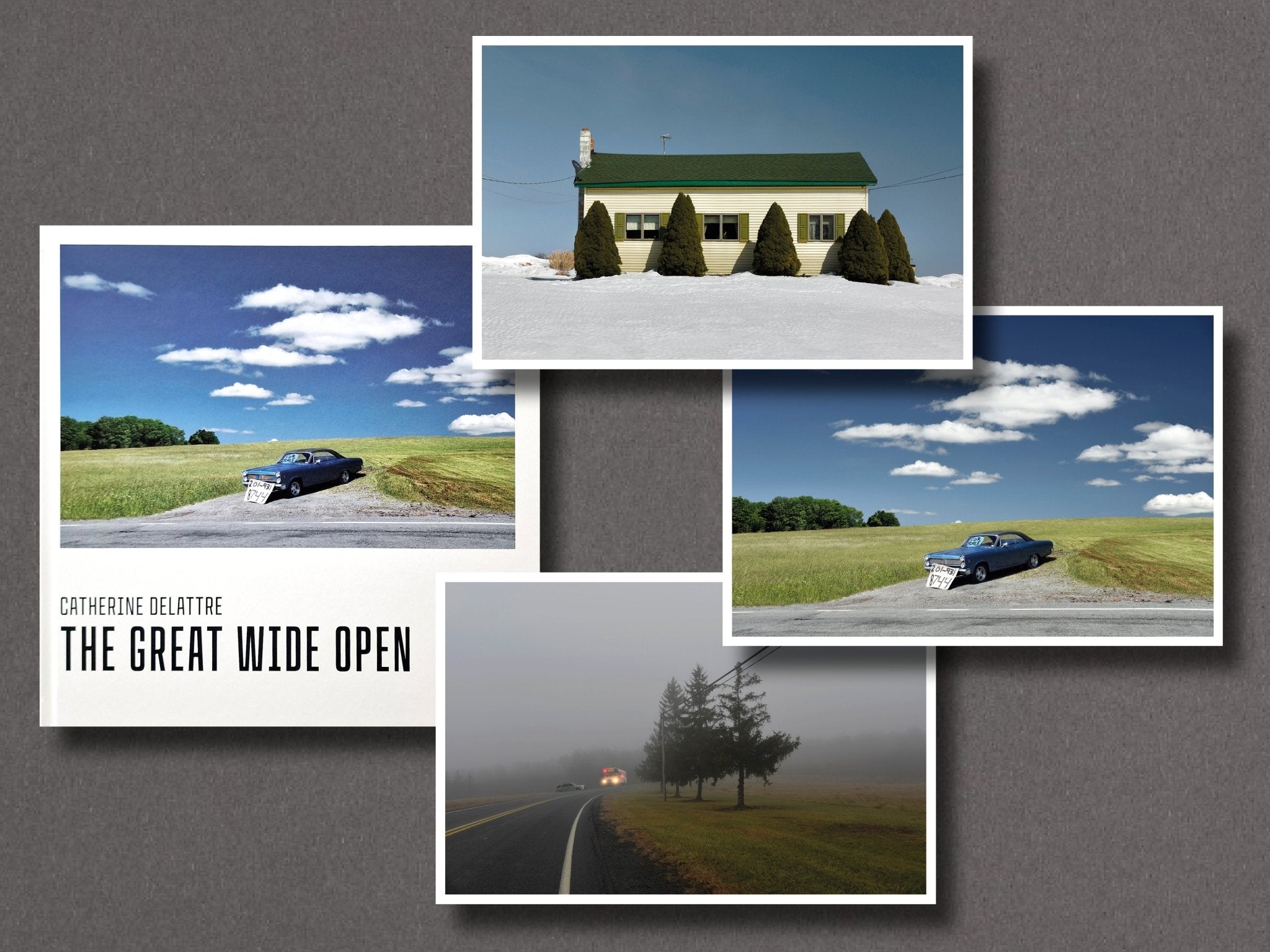 Buy The Great Wide Open by Catherine DeLattre Online – Setanta Books