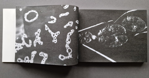 The Lake - Setanta Books