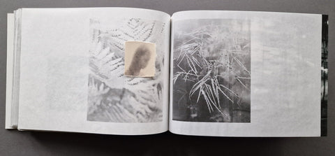 The Lake - Setanta Books