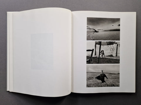An open book spread showing 3 photos on the right page. First is of a seagull, second of a monkey and the last one is of a dead craw.