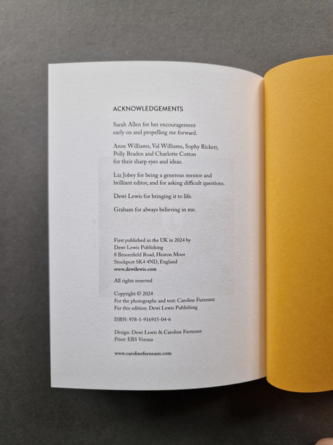 The Mothers I Might Have Had - Setanta Books