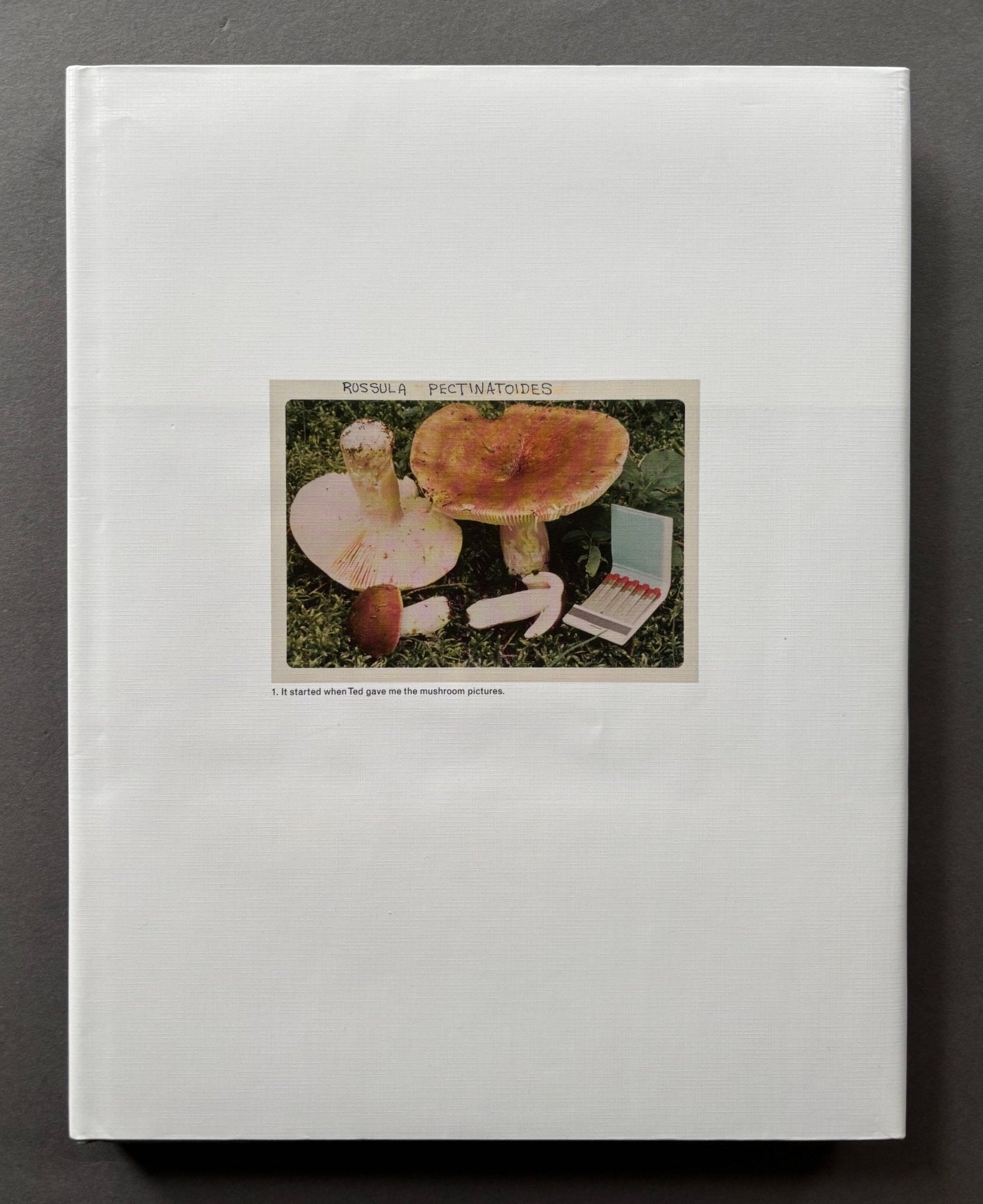 Buy The Mushroom Collector by Jason Fulford – Setanta Books