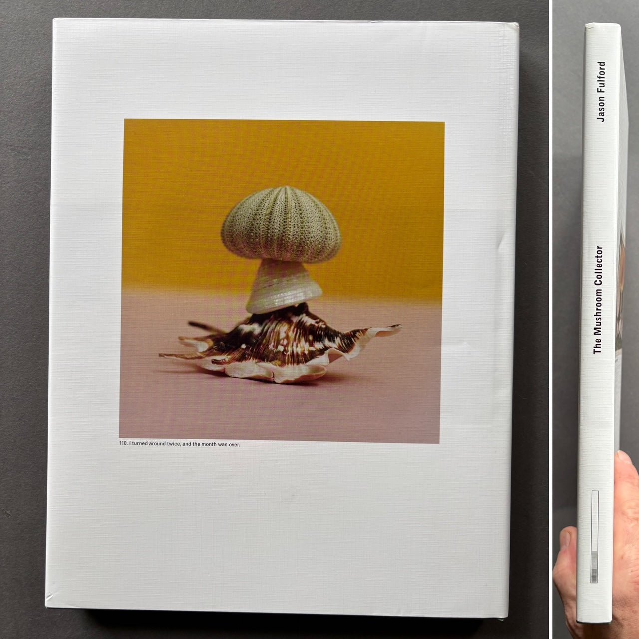 Buy The Mushroom Collector by Jason Fulford – Setanta Books