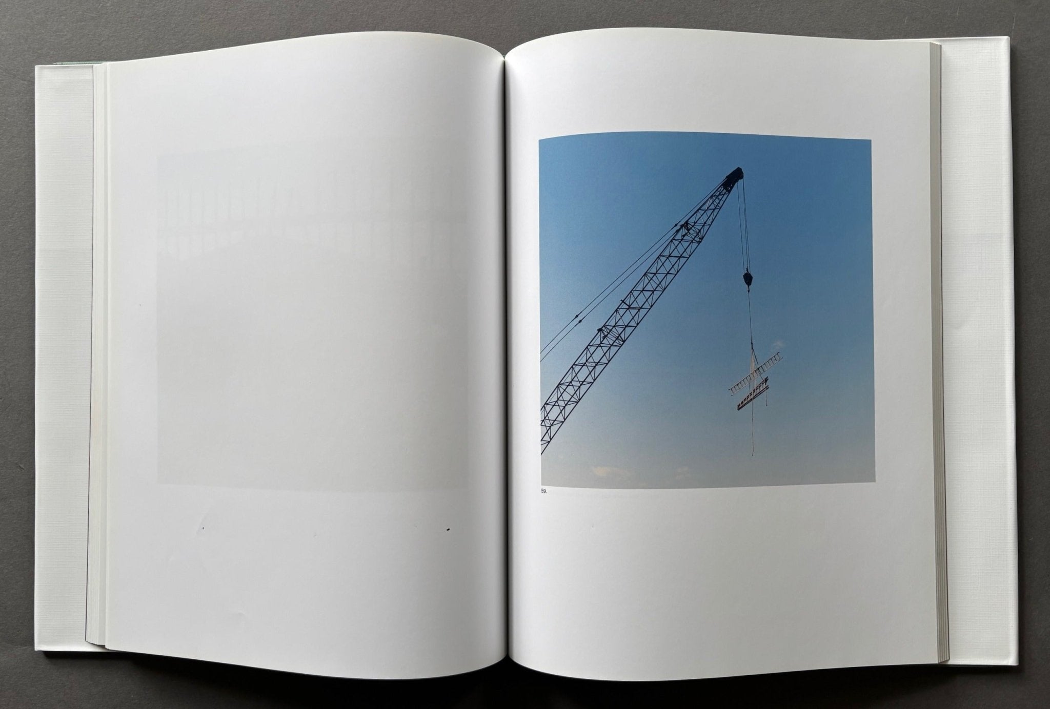Buy The Mushroom Collector by Jason Fulford – Setanta Books