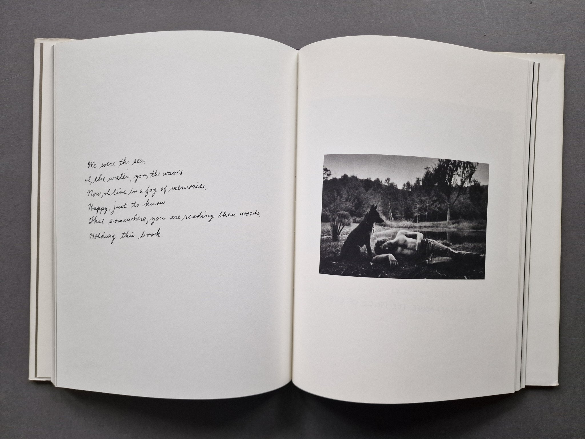 Buy The Nature of Desire by Duane Michals Online – Setanta Books