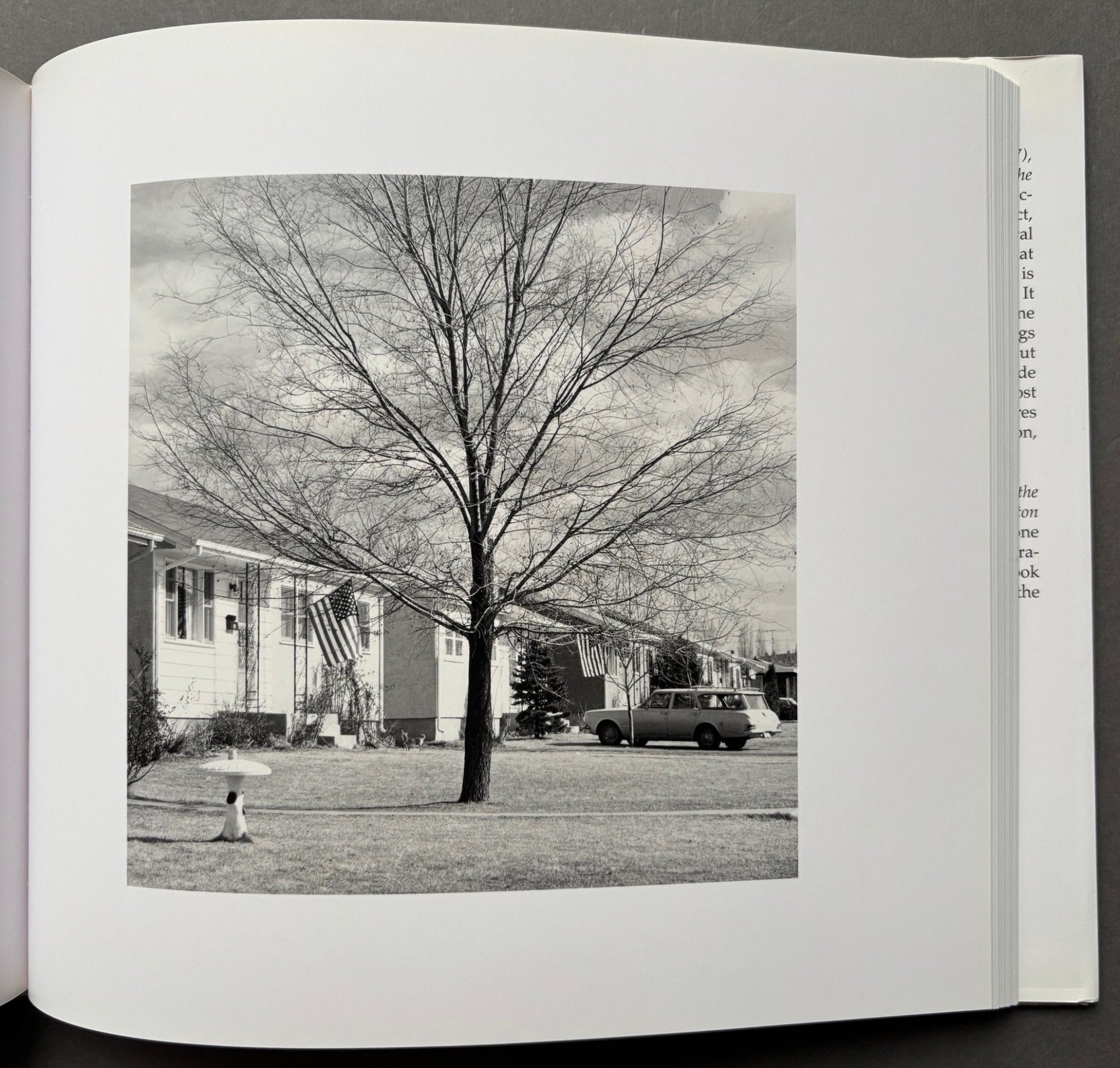 Buy The New West by Robert Adams – Setanta Books