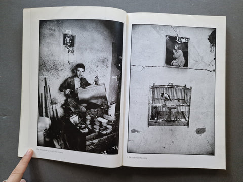 The Palestinians - Setanta Books