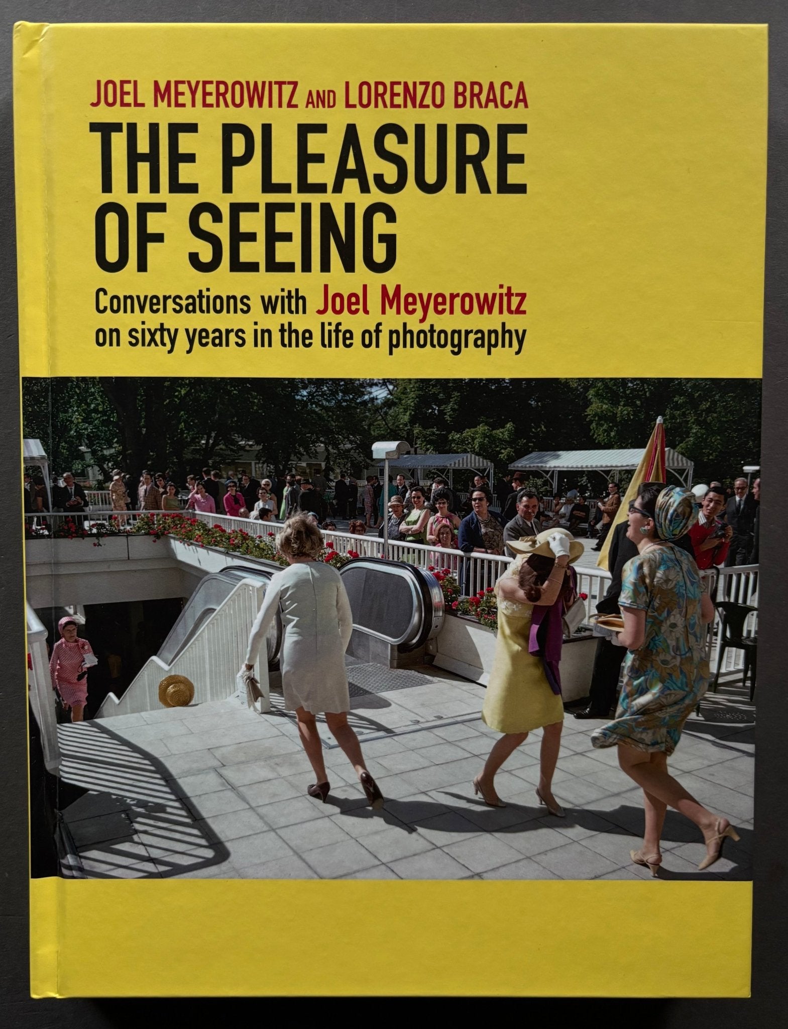 Buy The Pleasure Of Seeing By Joel Meyerowitz Online Setanta Books Buy The Pleasure Of Seeing By Joel Meyerowitz Online Setanta Books