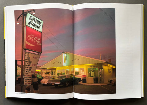 The Pleasure of Seeing: Conversations with Joel Meyerowitz on sixty years in the life of photography - Setanta Books
