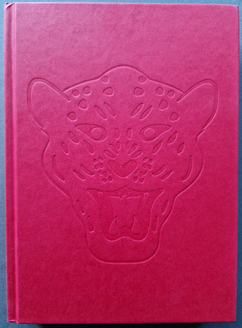 The Rape of a Nation - Setanta Books