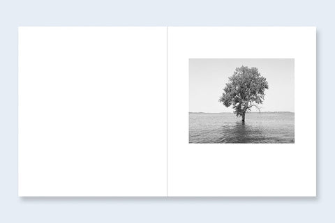 The Reservoir - Setanta Books