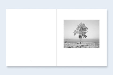 The Reservoir - Setanta Books