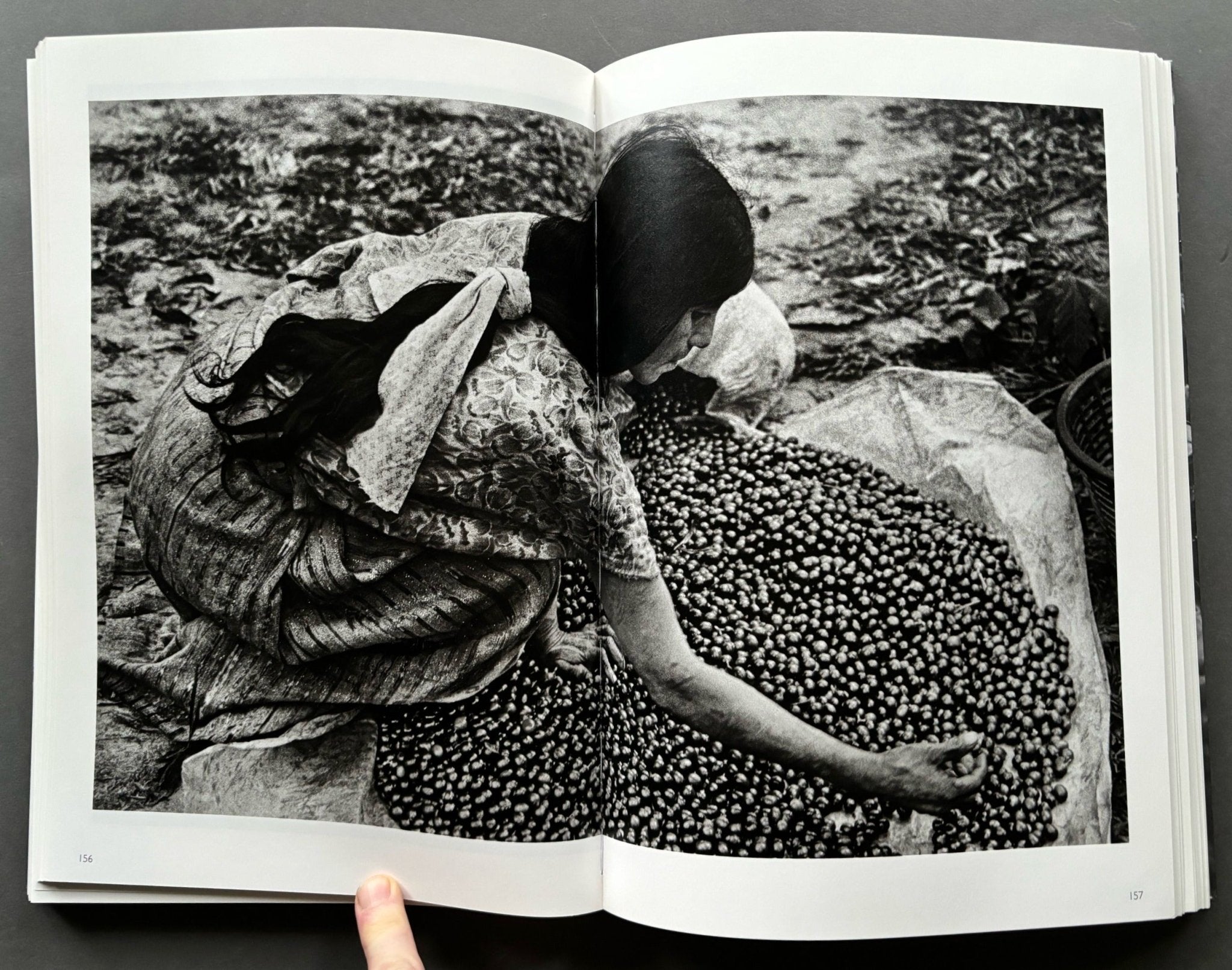 Buy The Scent Of A Dream: Travels In The World Of Coffee by