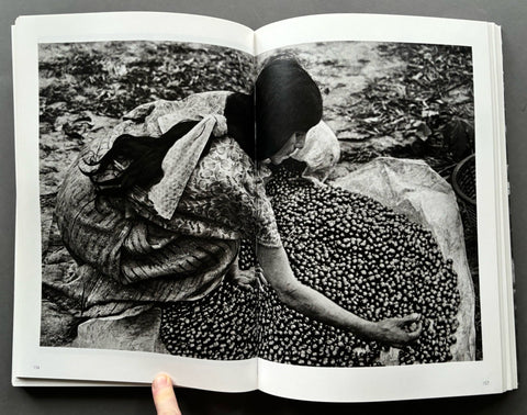 The Scent Of A Dream: Travels In The World Of Coffee - Setanta Books