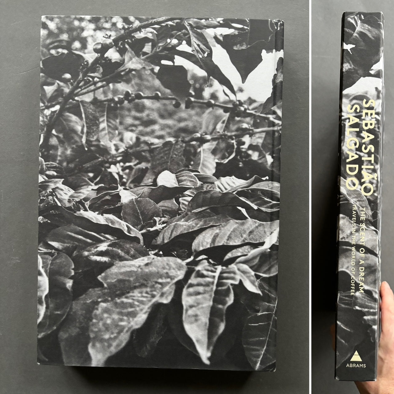 【 Sebastiao Salgado：Scent of a Dream】未開封 The Scent of a Dream: Travels in the World of Coffee. - Raptis