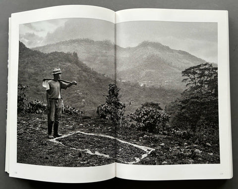 The Scent Of A Dream: Travels In The World Of Coffee - Setanta Books