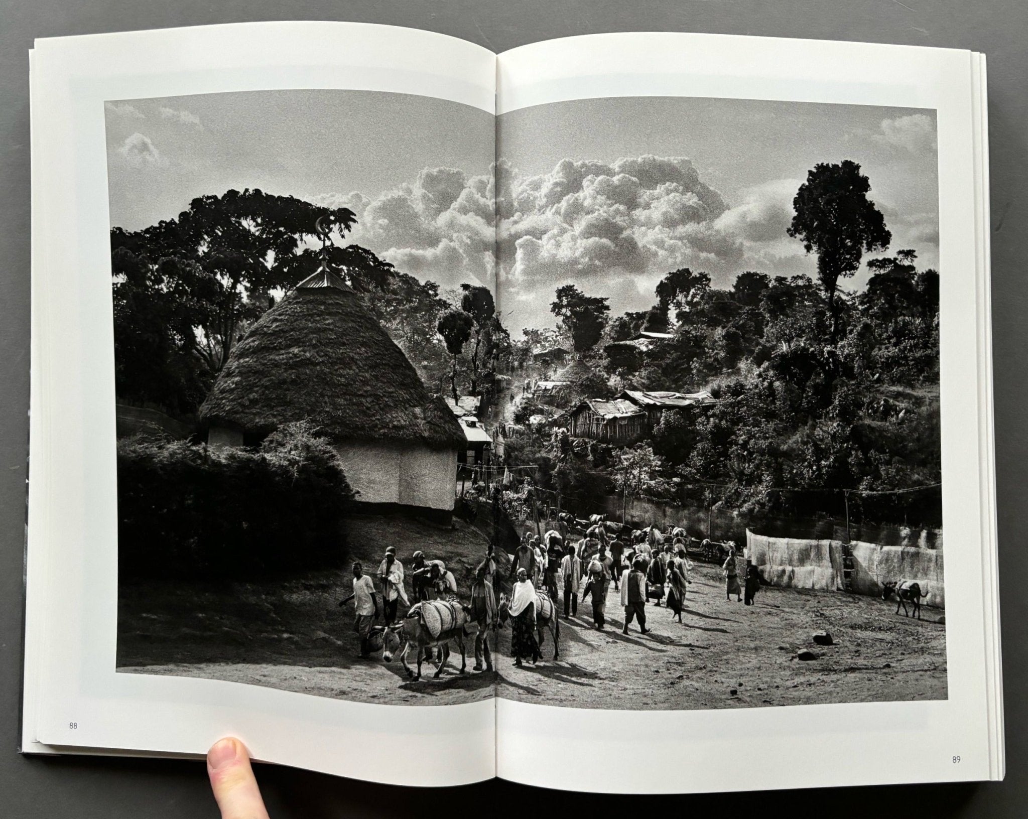 【 Sebastiao Salgado：Scent of a Dream】未開封 The Scent of a Dream: Travels in the World of Coffee: Salgado