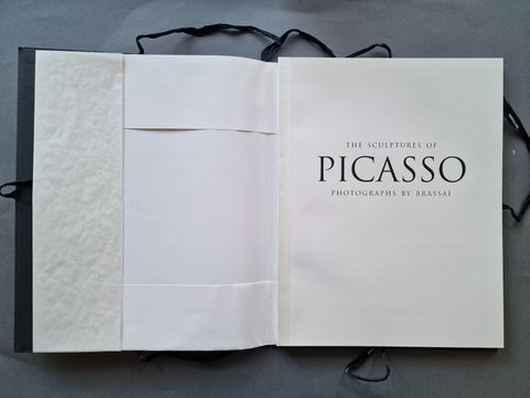 The Sculptures of Picasso - Setanta Books