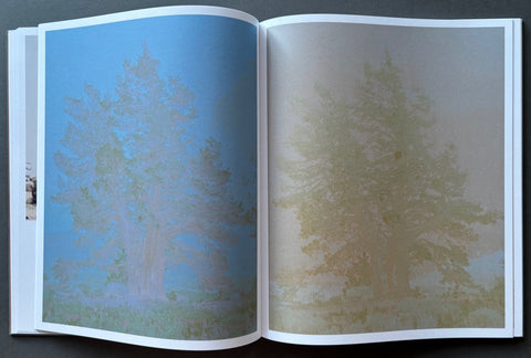 The Sierra - Setanta Books