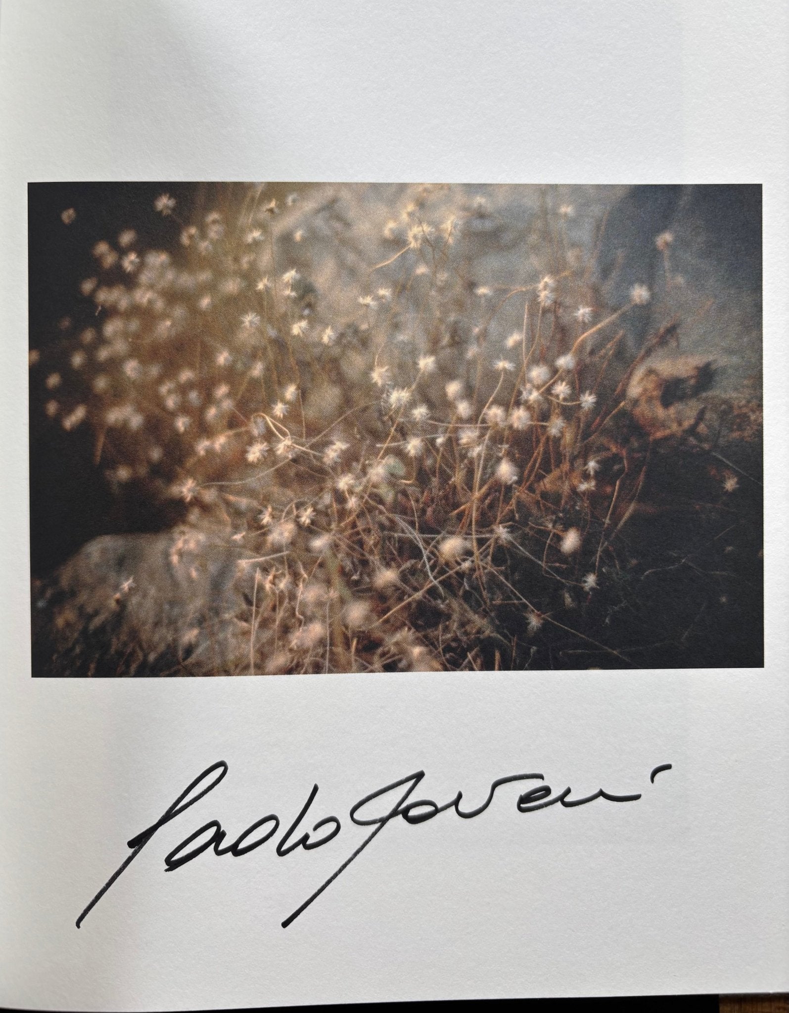 Buy The Smell of India by Paolo Roversi and Pier Paolo Pasolini