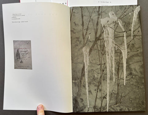 The Snow Abides - Setanta Books