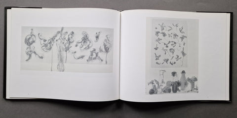 The Stilled Gaze - Setanta Books