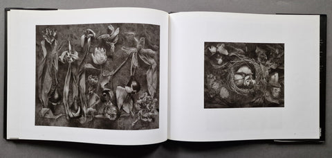 The Stilled Gaze - Setanta Books