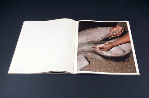 The Twist of a Knee - Setanta Books