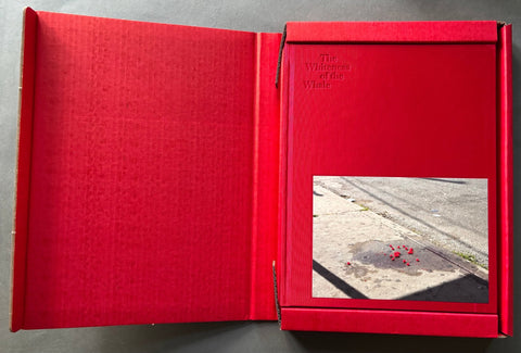 The Whiteness of the Whale - Setanta Books
