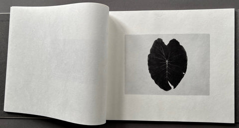 Thing - Setanta Books