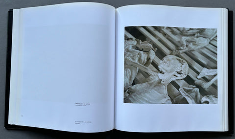 This Must Be The Place - Setanta Books