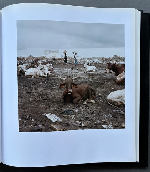 This Must Be The Place - Setanta Books