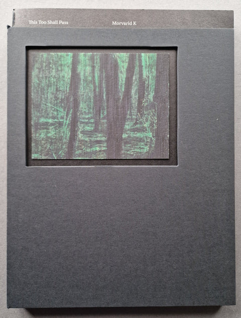 This Too Shall Pass - Setanta Books