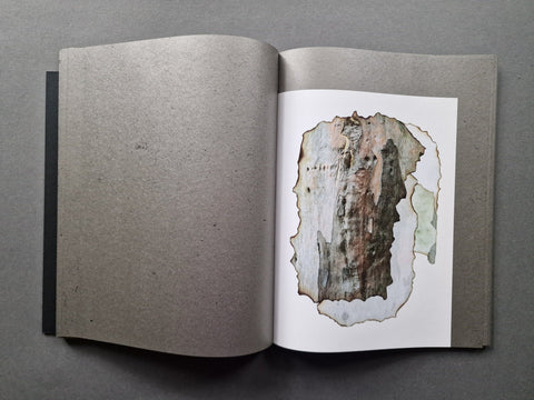 This Too Shall Pass - Setanta Books