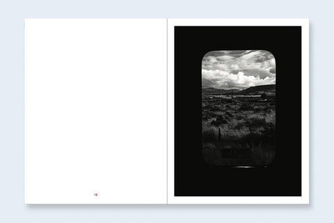 Tin Lizards - Setanta Books