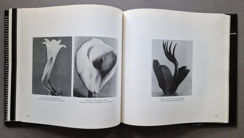Tina Modotti: A Fragile Life