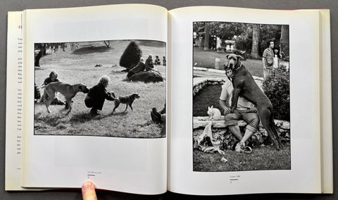 To The Dogs - Setanta Books