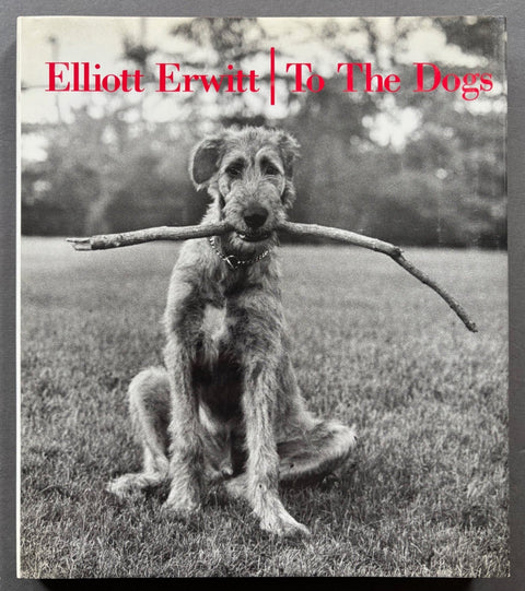 To The Dogs - Setanta Books