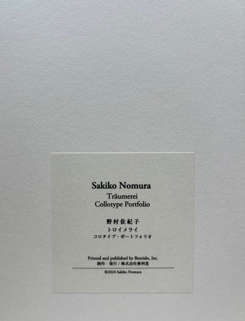 Traumerei - Setanta Books