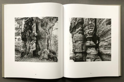 Trilogy of Stone and Time