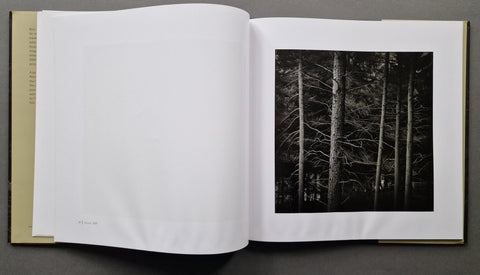 Truncated - Setanta Books