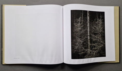Truncated - Setanta Books
