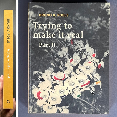 Trying to Make it Real - Setanta Books