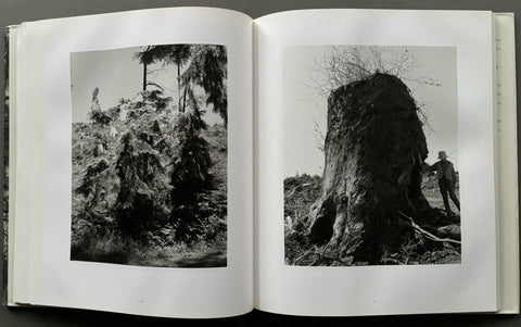 Turning Back - Setanta Books