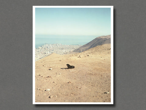 Uninhabited Stories 36 (Trehuaco) - Setanta Books